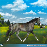 Horse Color:Smoky Blue Onyx Ice 