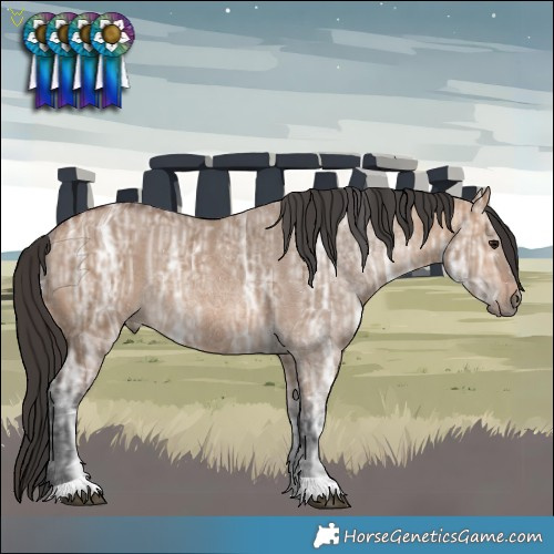 Horse Color:Bay Ice Dun Rabicano 