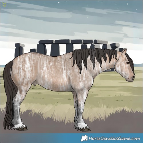 Horse Color:Bay Ice Dun Rabicano 