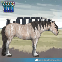 Horse Color:Bay Ice Dun Rabicano