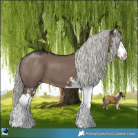 Horse Color:Liver Red Dun Mushroom Splash