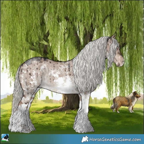 Horse Color:Liver Red Dun Mushroom Sabino Rabicano Brindle