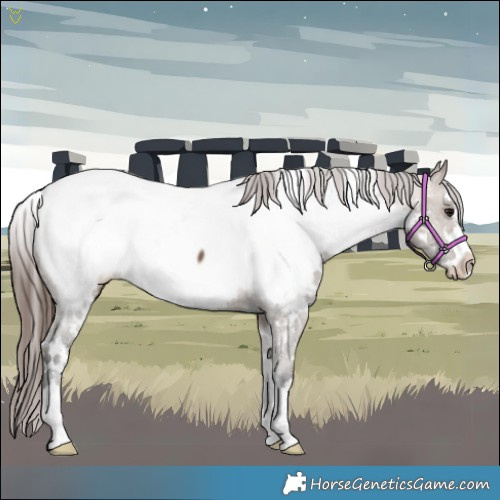 Horse Color:White Spotted Brown Dun Near Fewspot 