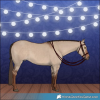 Horse Color:Liver Red Dun 