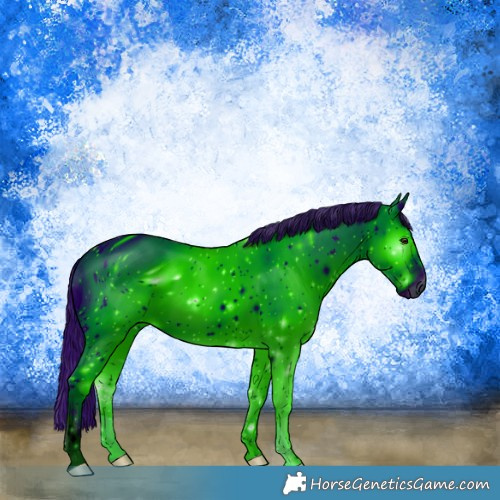 Horse Color:ERROR: UNKNOWN ANOMALY