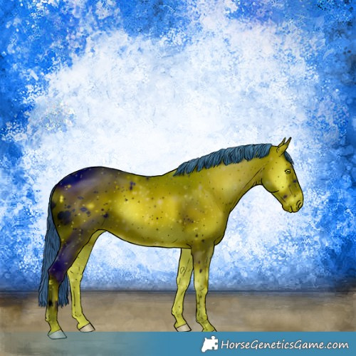 Horse Color:ERROR: UNKNOWN ANOMALY