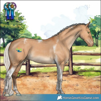 Horse Color:Silver Bay Dun Tobiano Appaloosa 