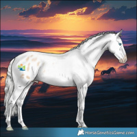 Horse Color:Silver Bay Snowdrop Tobiano Blanket Rabicano
