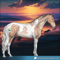 Horse Color:Silver Bay Snowdrop Tobiano Appaloosa Rabicano 