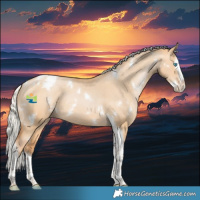 Horse Color:White Spotted Silver Bay Pearl Dun Splash Tobiano Appaloosa Rabicano 
