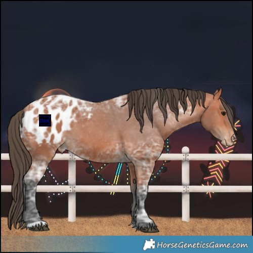 Horse Color:Bay Ice Blanket 