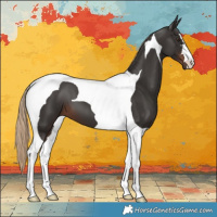 Horse Color:Liver Chestnut Tobiano 