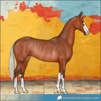Horse Color:Silver Bay Rabicano
