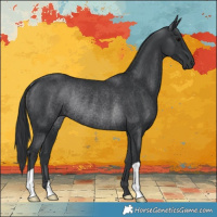 Horse Color:Black Rabicano 