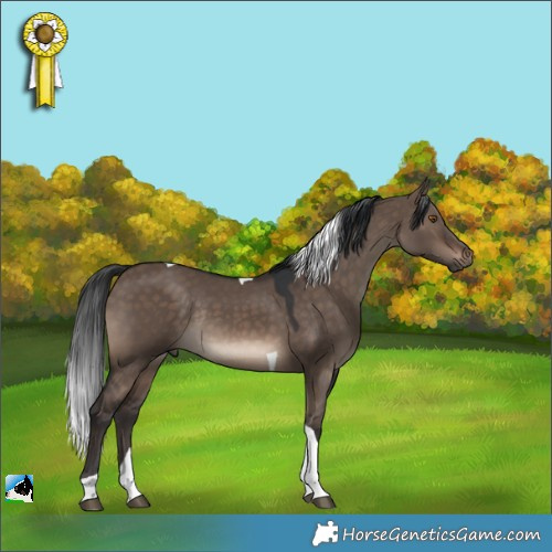 Horse Color:Brown Dun Tobiano Rabicano 