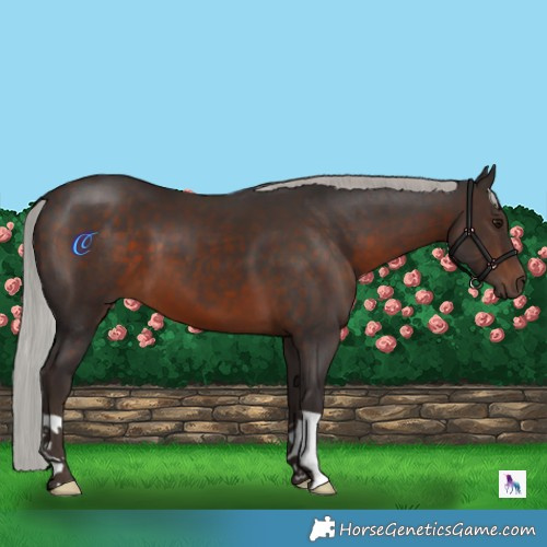 Horse Color:Silver Brown 