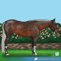 Horse Color:Silver Brown 