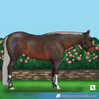 Horse Color:Silver Brown 