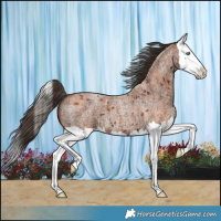 Horse Color:Bay Ice Roan Splash 