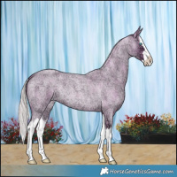 Horse Color:Watercolor Red Ice Roan Splash 