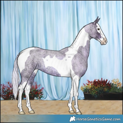 Horse Color:Watercolor Red Ice Roan Splash Tobiano 