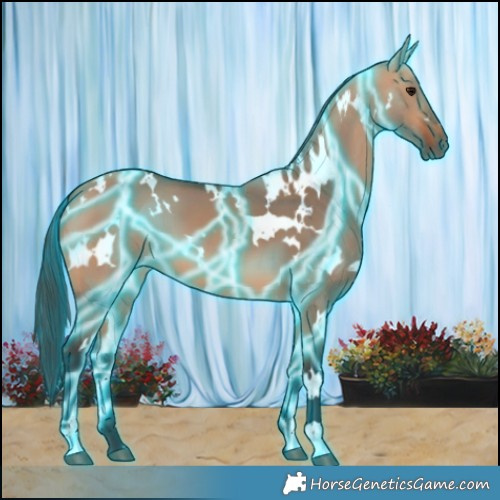 Horse Color:Thunderstruck White Spotted Bay Dun 
