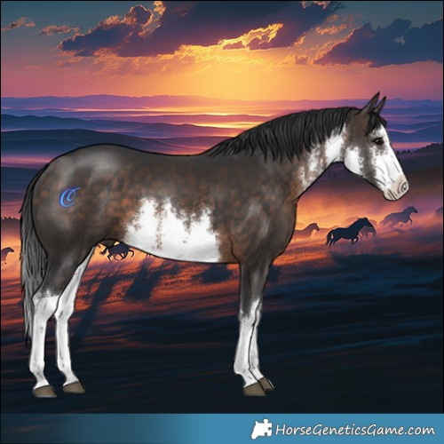 Horse Color:White Spotted Brown 