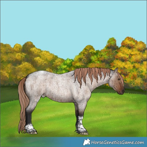 Horse Color:Liver Red Dun Roan Tobiano Rabicano Brindle 