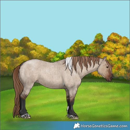 Horse Color:Liver Red Dun Roan Tobiano Rabicano Brindle