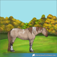 Horse Color:Liver Red Dun Tobiano Rabicano Brindle