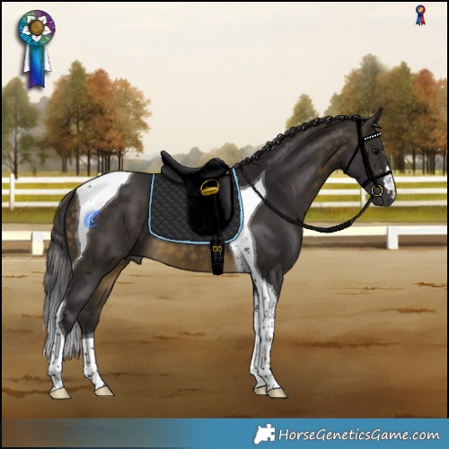 Horse Color:Buckskin Tobiano 