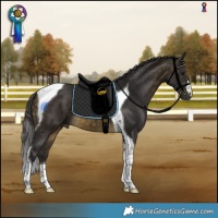 Horse Color:Buckskin Tobiano 