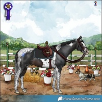 Horse Color:Brown Splash Tobiano  and Brown Splash Tobiano 