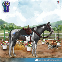 Horse Color:Brown Splash Tobiano  and Brown Splash Tobiano 