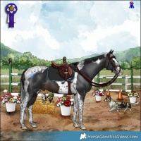 Horse Color:Brown Splash Tobiano  and Brown Splash Tobiano 