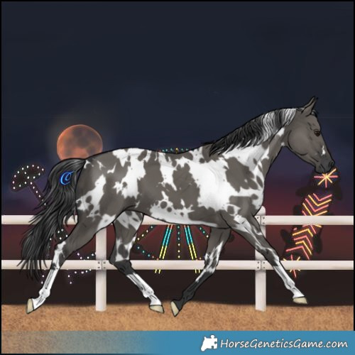 Horse Color:White Spotted Grullo 
