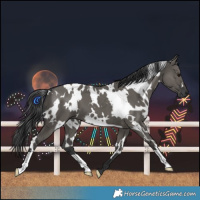 Horse Color:White Spotted Grullo 