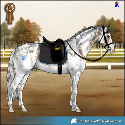 Horse Color:Silver Buckskin Sabino Rabicano 