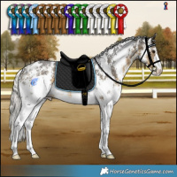Horse Color:Silver Buckskin Sabino Rabicano 
