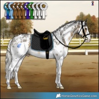 Horse Color:Silver Buckskin Sabino Rabicano