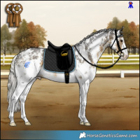 Horse Color:Silver Buckskin Sabino Rabicano 