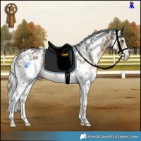 Horse Color:Silver Buckskin Sabino Rabicano 