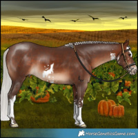 Horse Color:White Spotted Silver Brown 