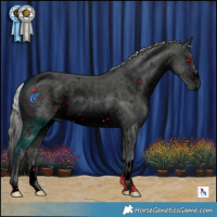 Horse Color:ERROR: UNKNOWN ANOMALY