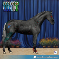 Horse Color:ERROR: UNKNOWN ANOMALY