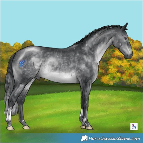 Horse Color:Brown Chinchilla 