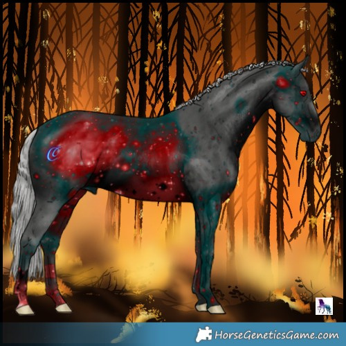 Horse Color:ERROR: UNKNOWN ANOMALY