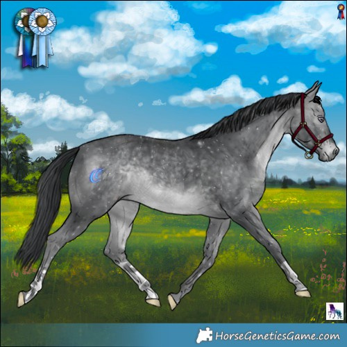 Horse Color:Brown Chinchilla 