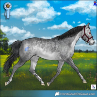 Horse Color:Brown Chinchilla