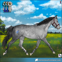 Horse Color:Brown Chinchilla 